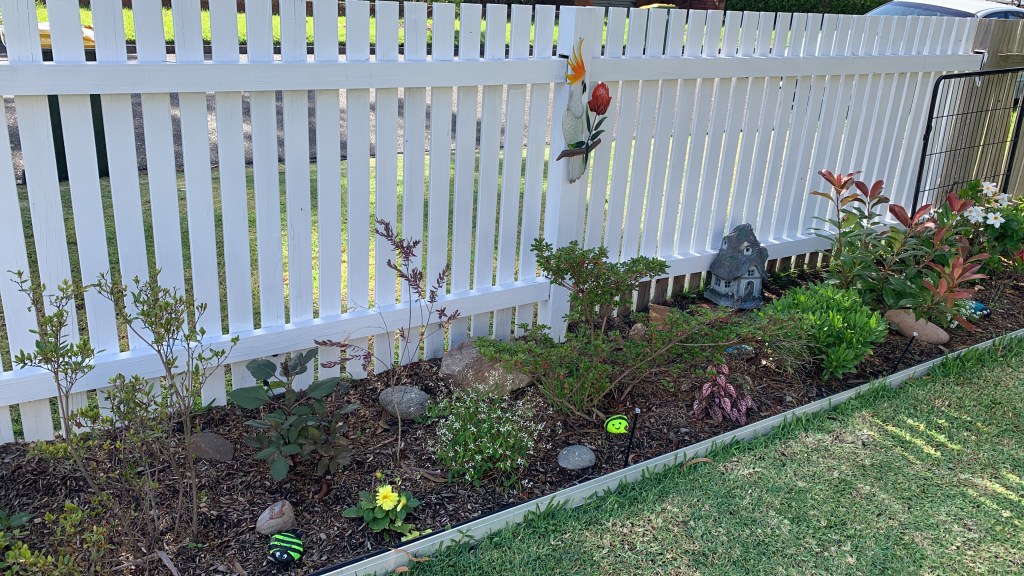 Garden & Fence